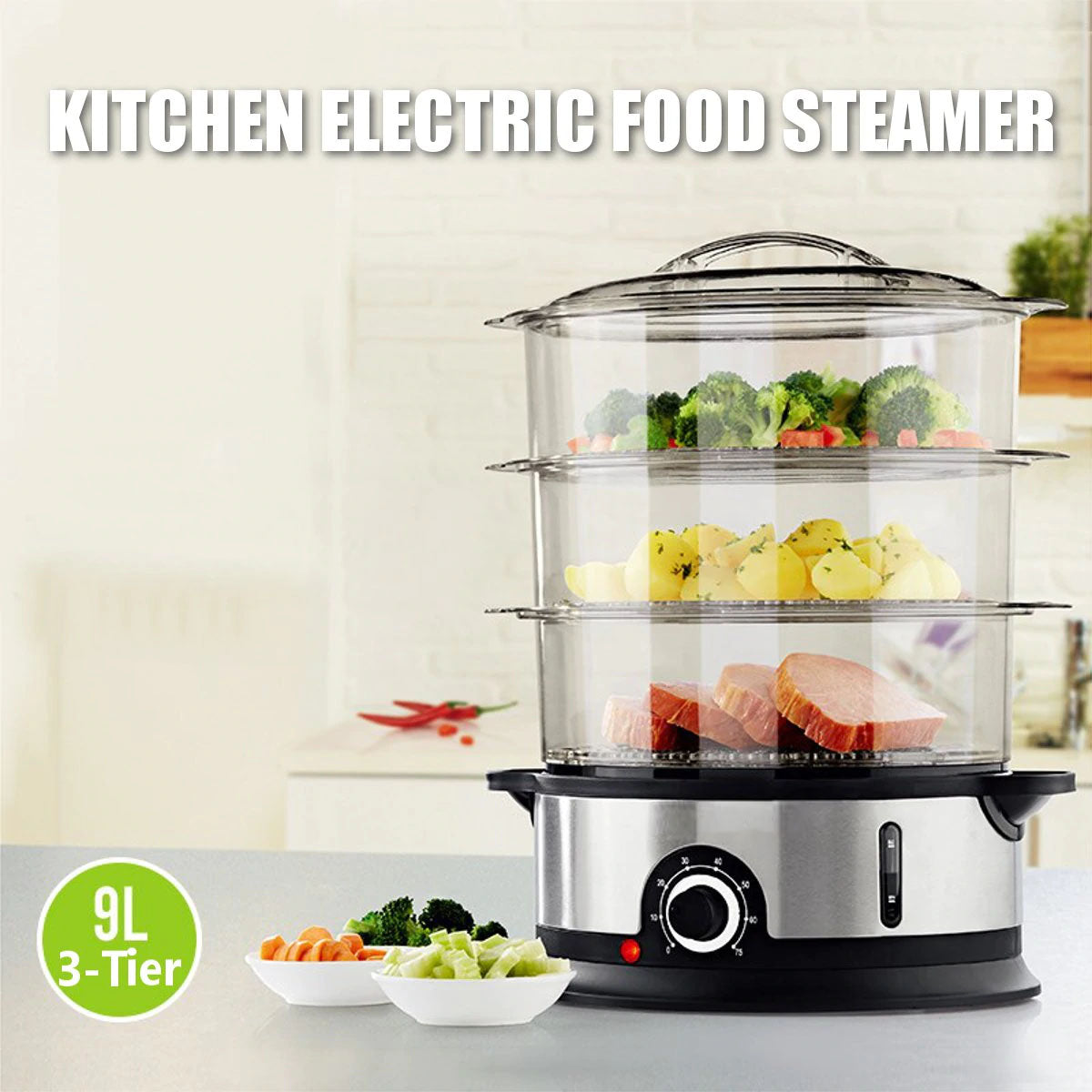 Electric Steamer and Defroster