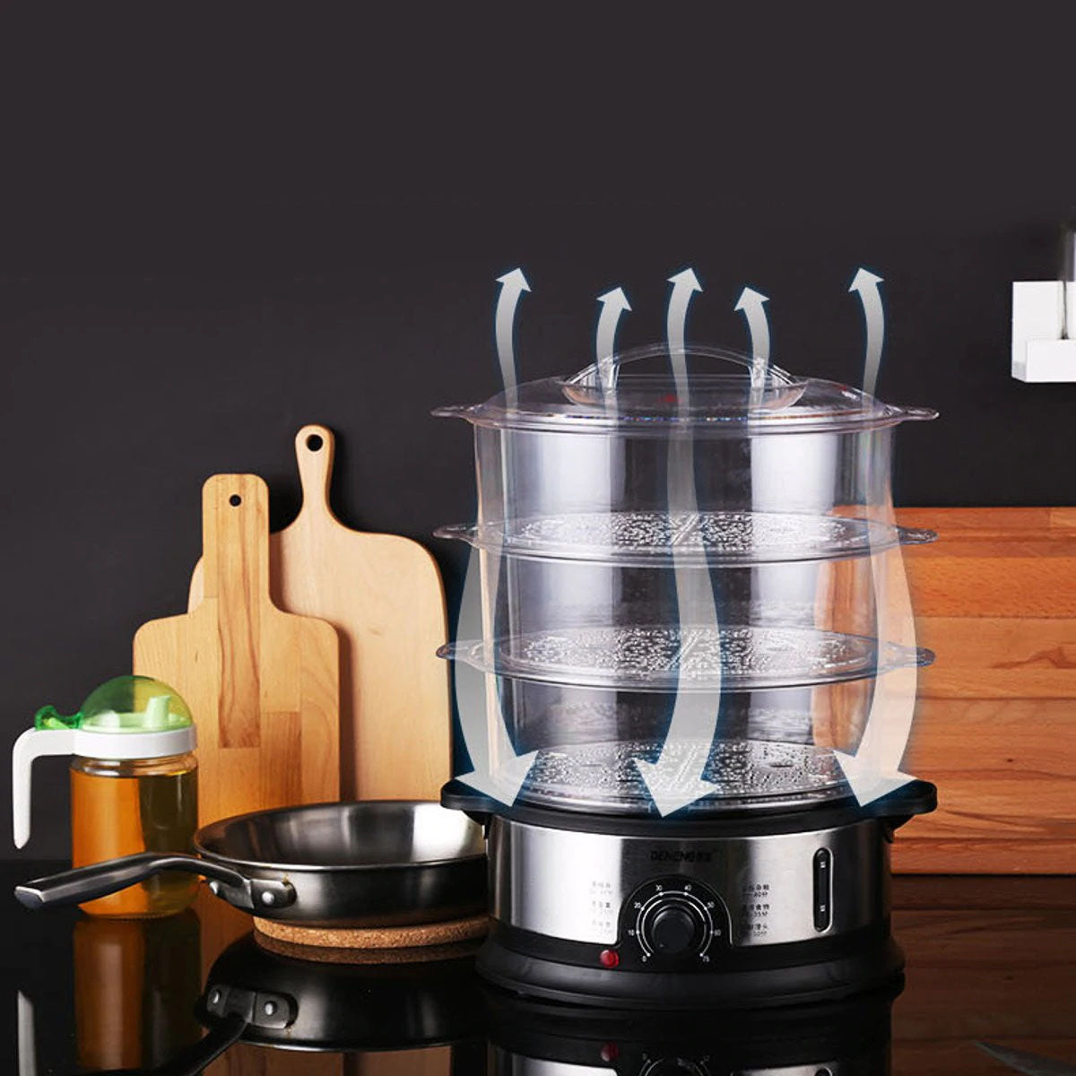 Electric Steamer and Defroster