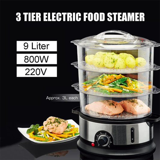Electric Steamer and Defroster